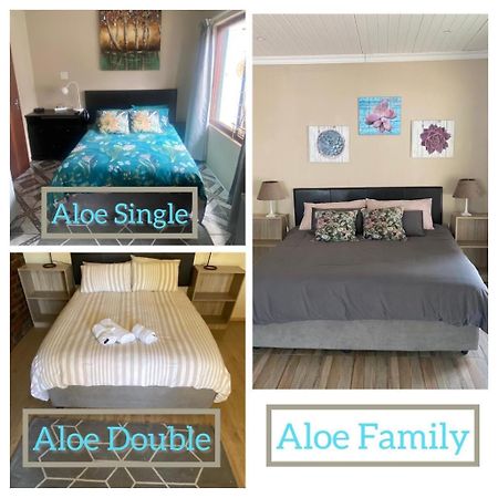 Aloe Guest Rooms Блоемфонтейн Екстериор снимка